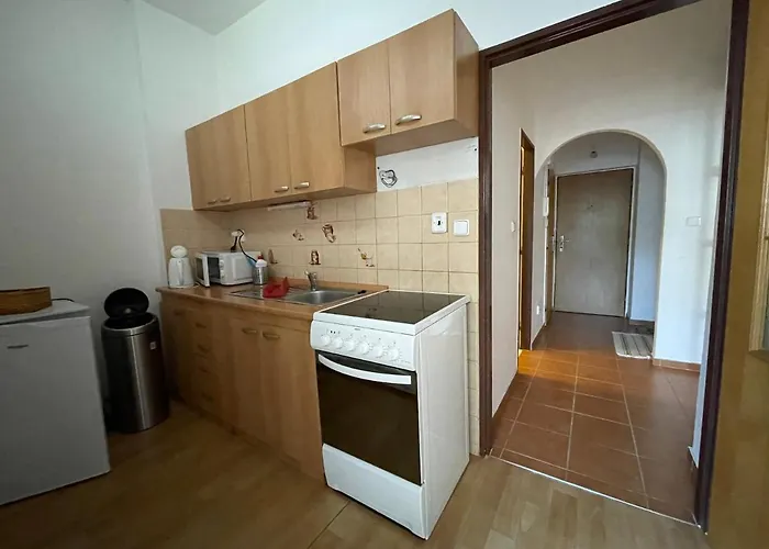 Apartament Pro Family Simple *