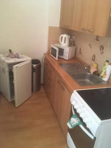 Pro Family Simple Apartament Jáchymov